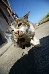 今年一年ありがとうございました　