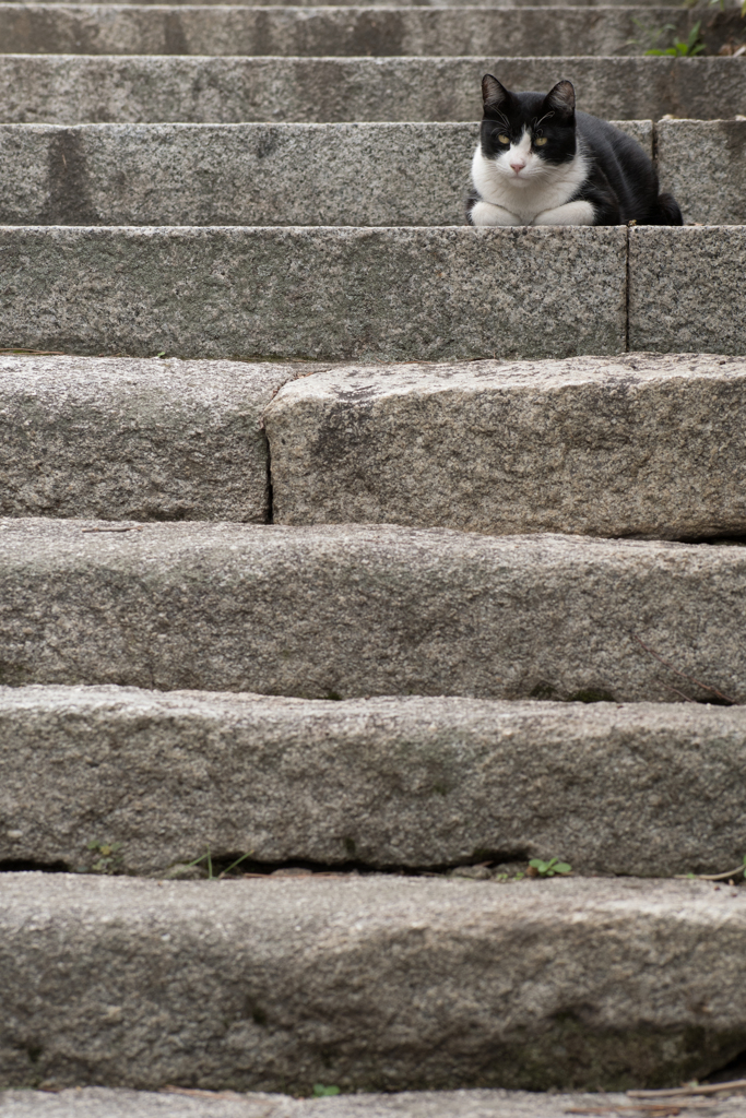 上からの眺め