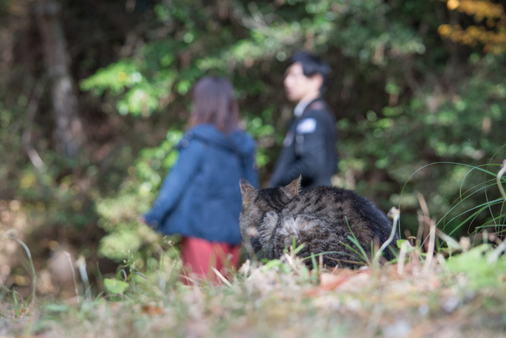 通り過ぎる人々