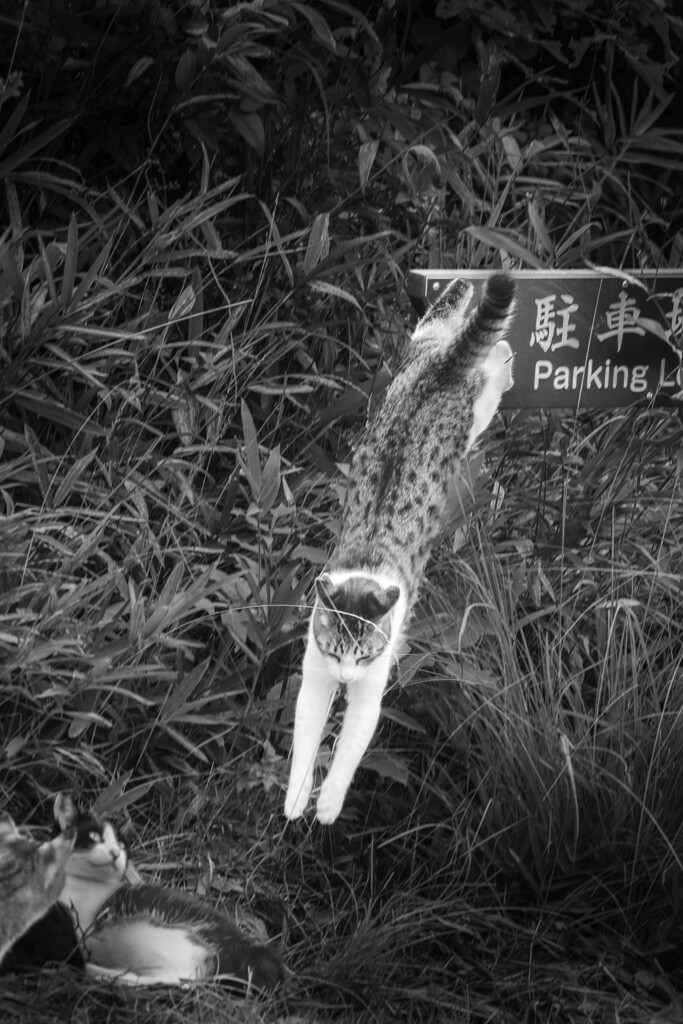 とある一瞬