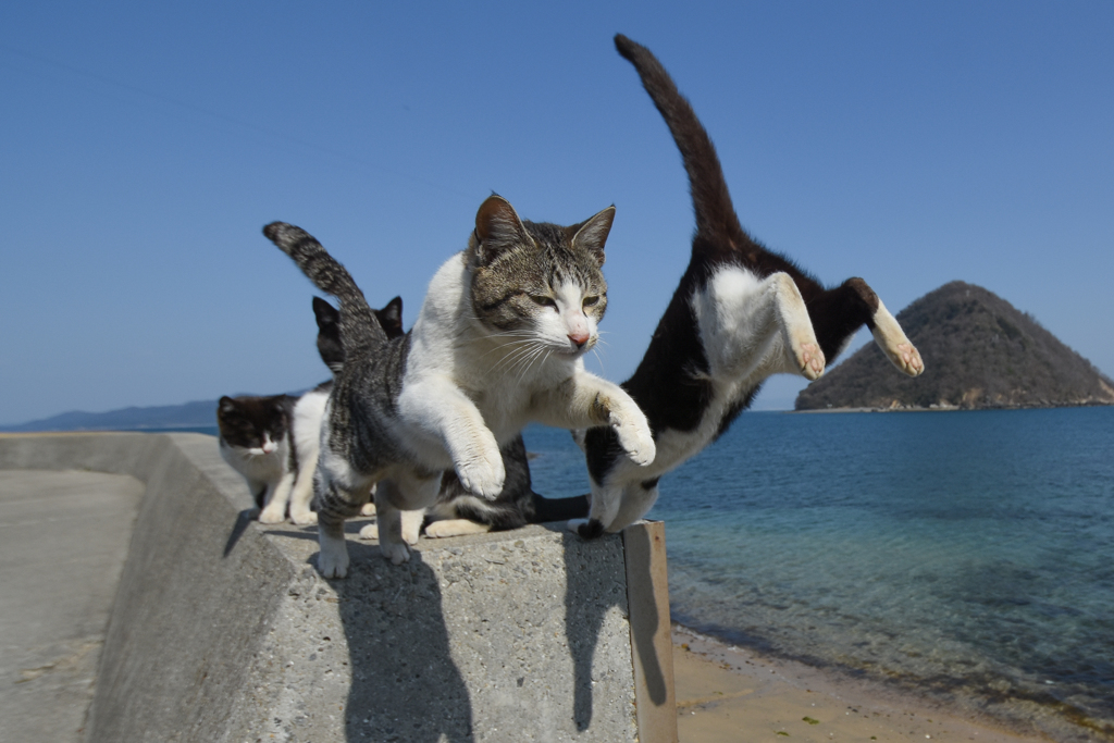 すれ違い