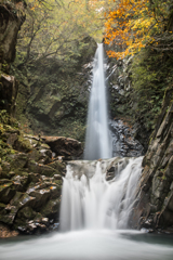 下に降りての大山滝