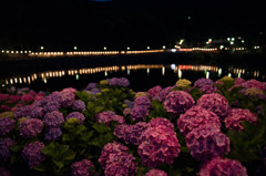 紫陽花の湖