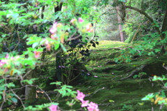 あの先