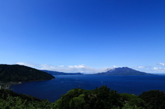 桜島を眺む