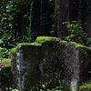 力強く静かに
