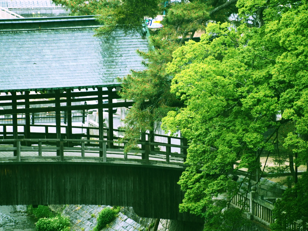 橋