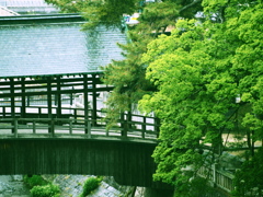 橋
