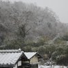 ほとんど雪の降らない兵庫県南部の雪