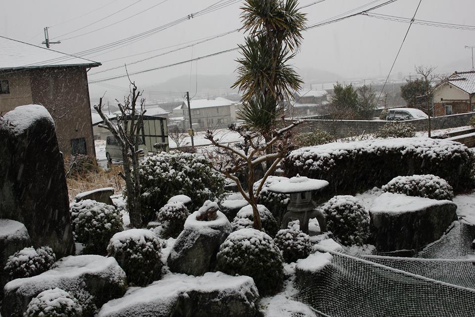 ほとんど雪の降らない兵庫県南部の雪