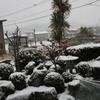 ほとんど雪の降らない兵庫県南部の雪
