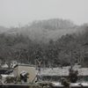 ほとんど雪の降らない兵庫県南部の雪