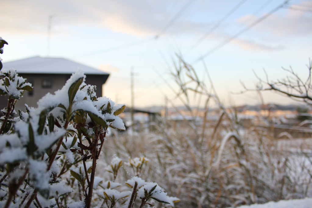 今年２度目の積雪２