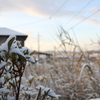 今年２度目の積雪２