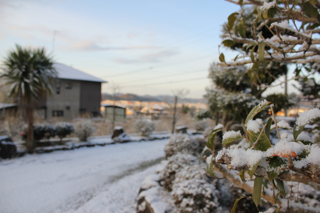 今年２度目の積雪