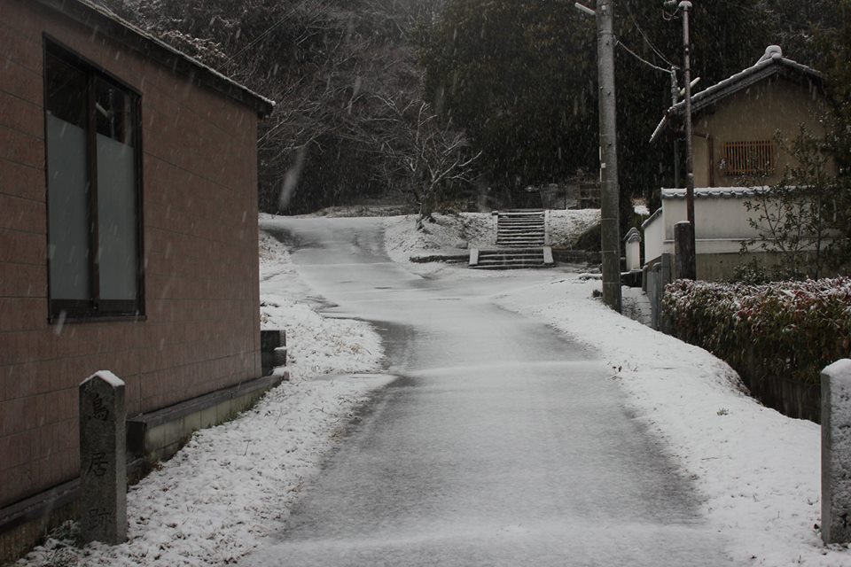 ほとんど雪の降らない兵庫県南部の雪