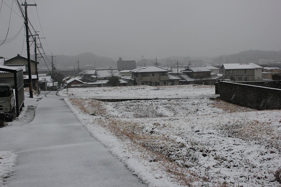 ほとんど雪の降らない兵庫県南部の雪