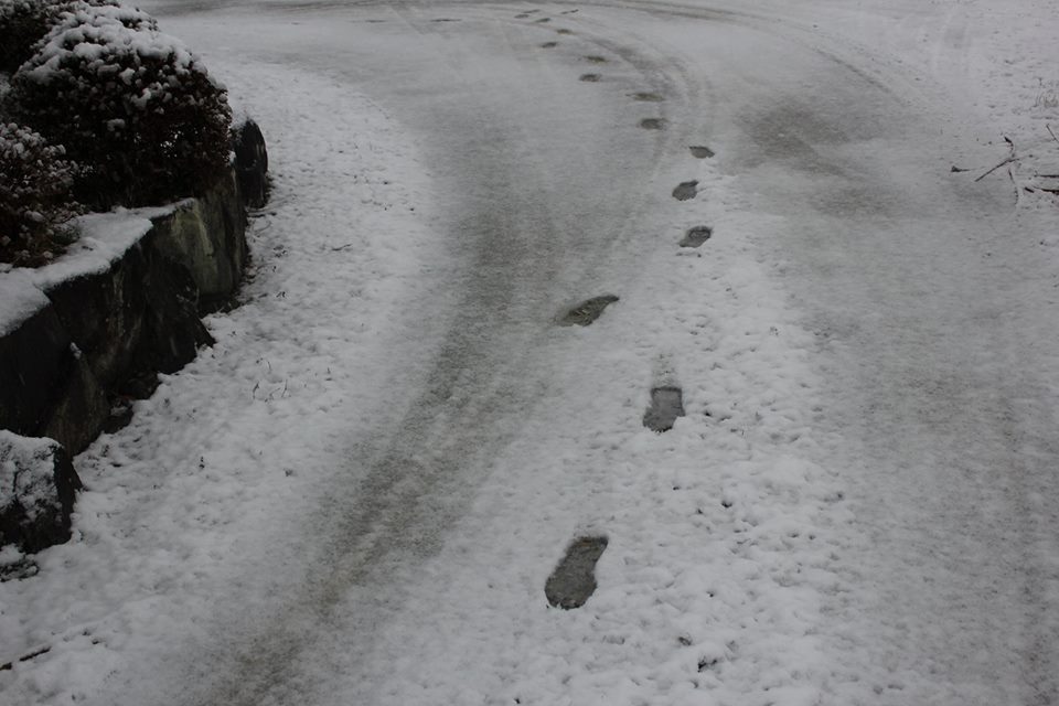 ほとんど雪の降らない兵庫県南部の雪