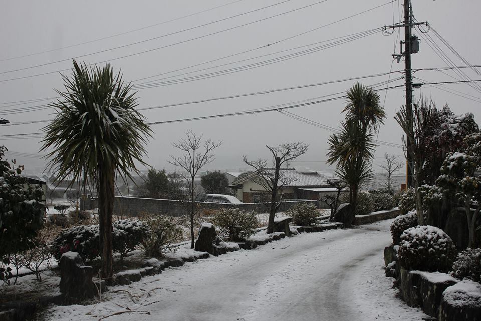 ほとんど雪の降らない兵庫県南部の雪