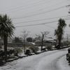 ほとんど雪の降らない兵庫県南部の雪