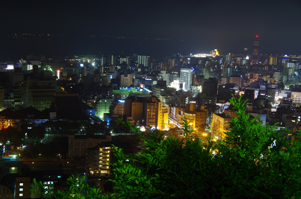 城山からの夜景1