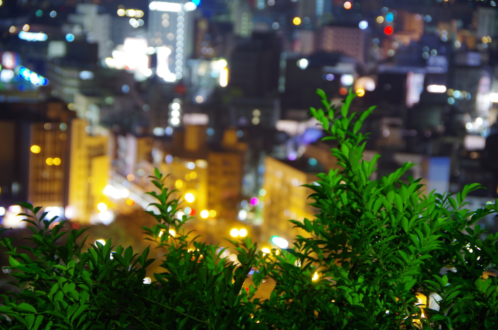 城山からの夜景5