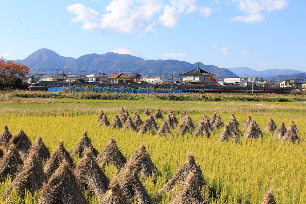 晩秋のひととき