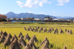 晩秋のひととき