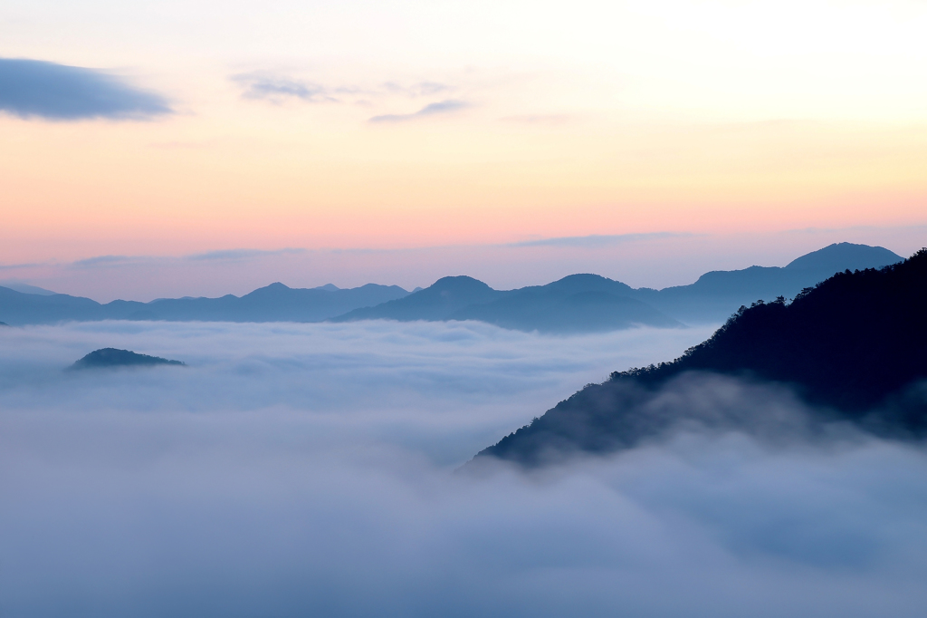 朝、雲海と