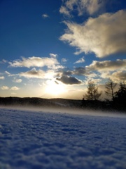 Winter Comes Again
