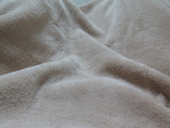 毛布砂漠