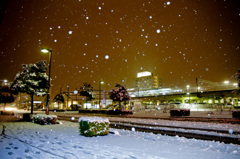 蛍雪