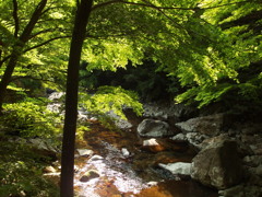2013-05-04_静かな川