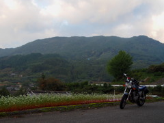 2013-10-06_はるばるきたもんさ
