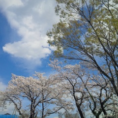 春→夏