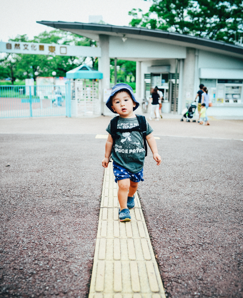 One summer day (2014) #6