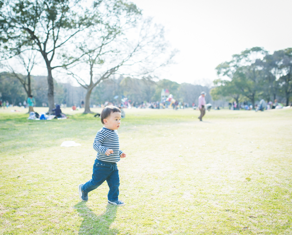 In a park of the early spring #1