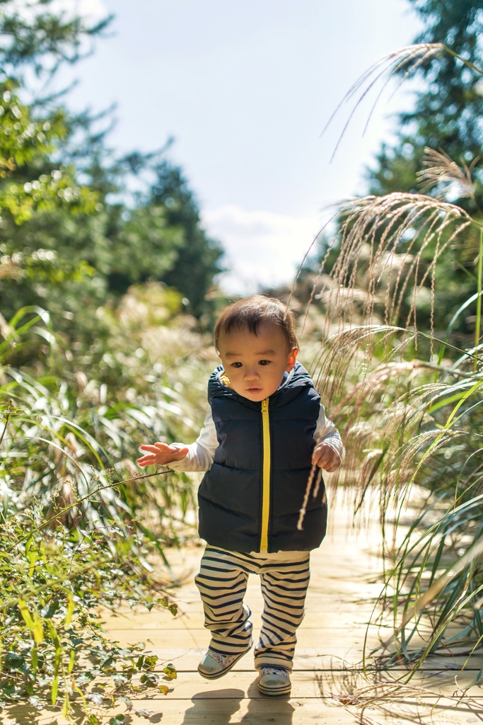 Going to autumn #1