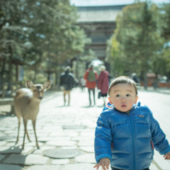 Nara Park #5