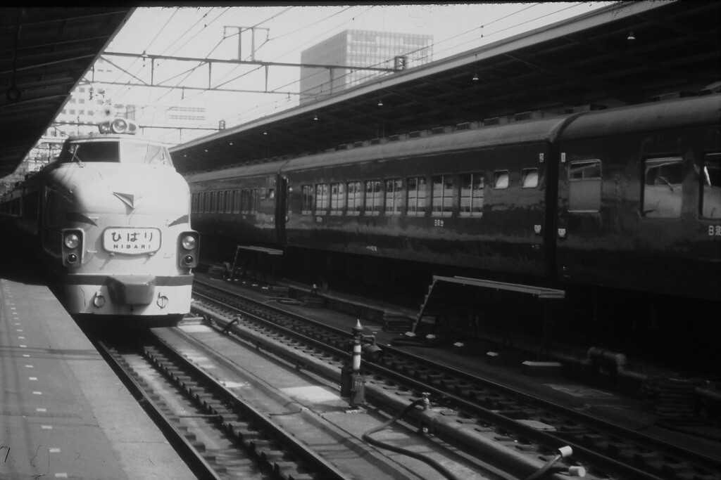 東京駅着「ひばり１号」？