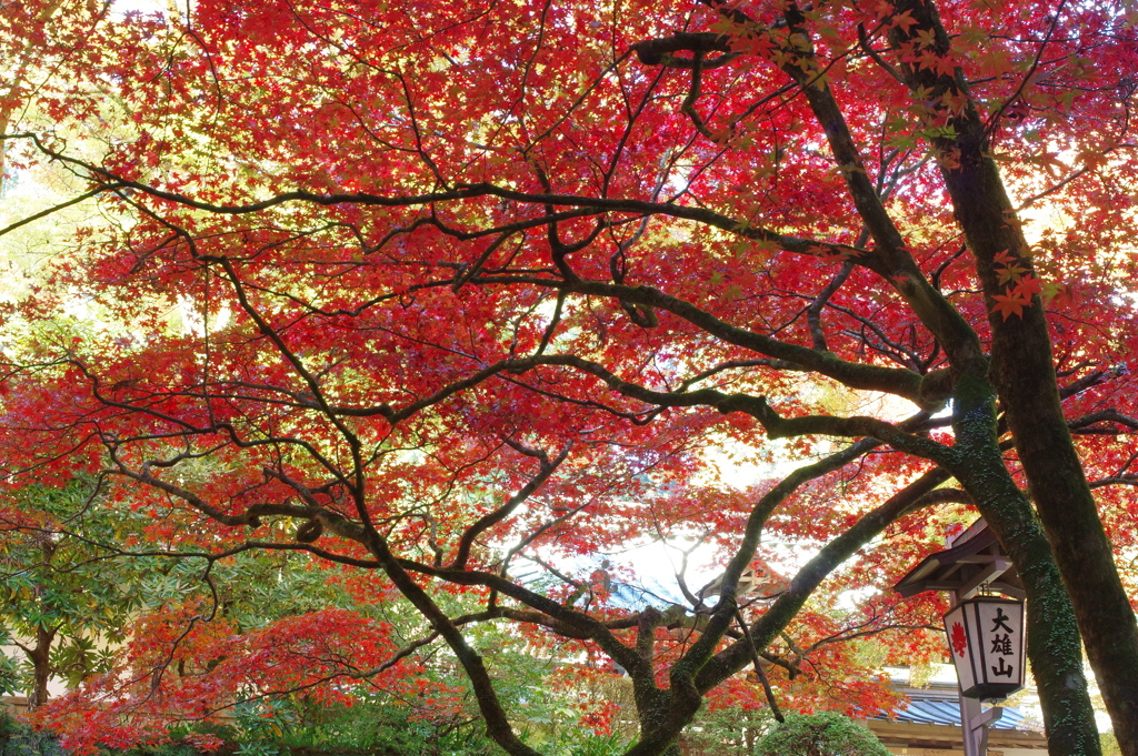 瑠璃門への入口