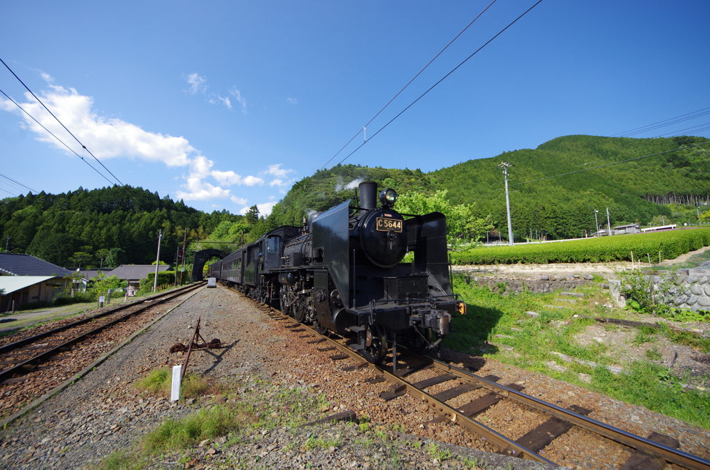 もう一度走ってほしい線路