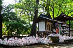 豪徳寺の招福猫児