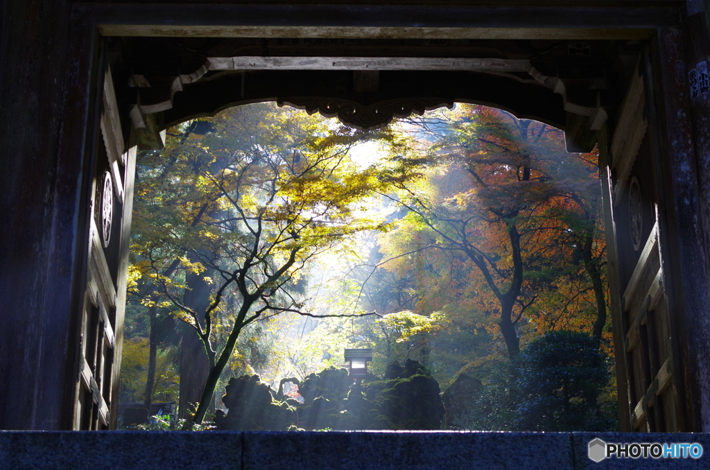 蔵出し最乗寺３「異界への入口」