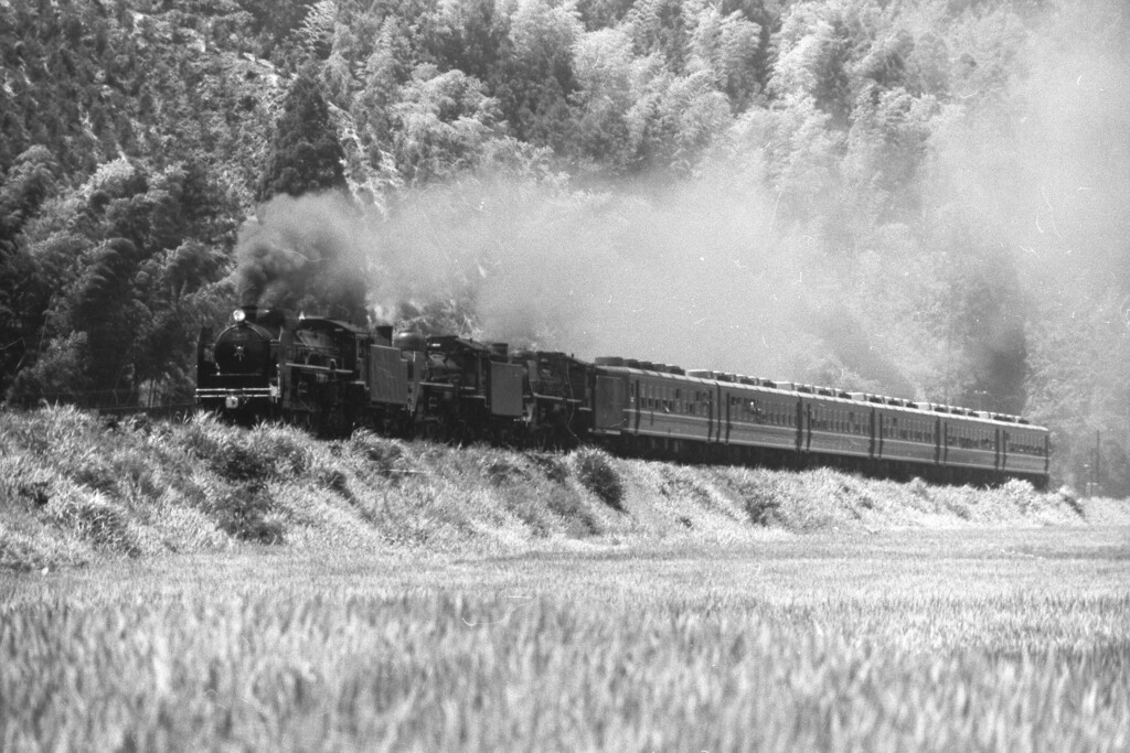 あけましておめでとうございます。