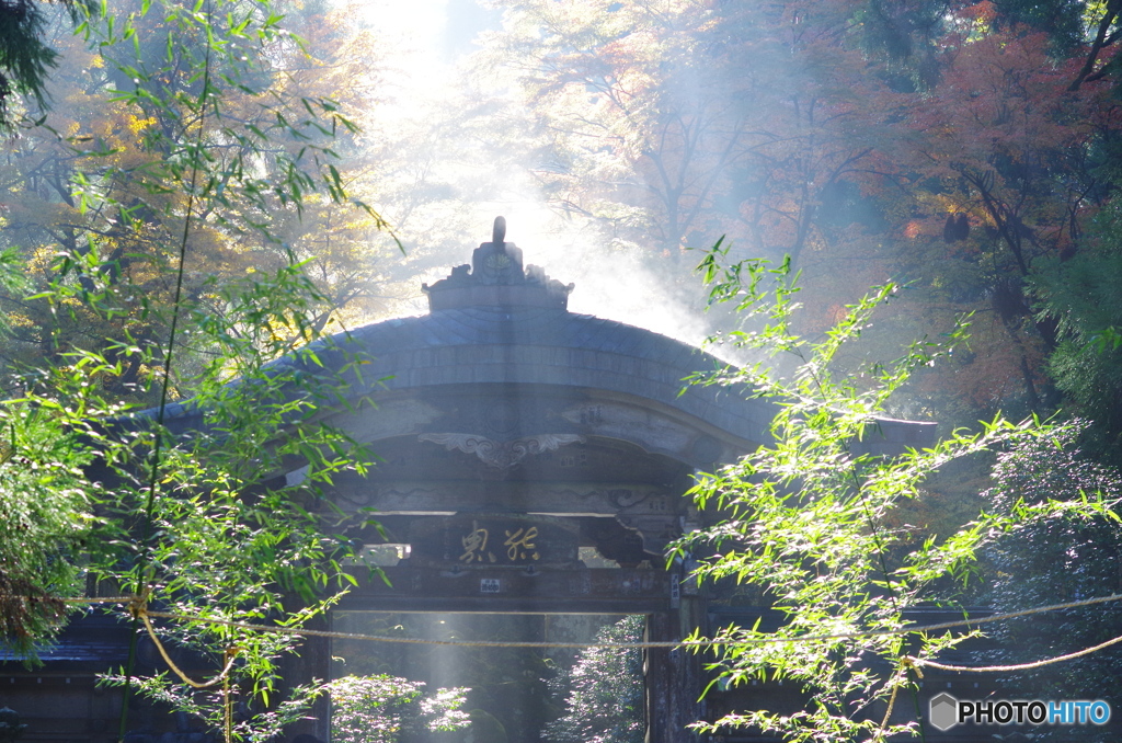 蔵出し最乗寺１【幻想的な結界門】