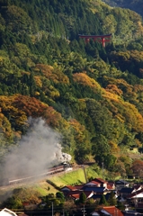 津和野太皷谷稲成神社から一枚！