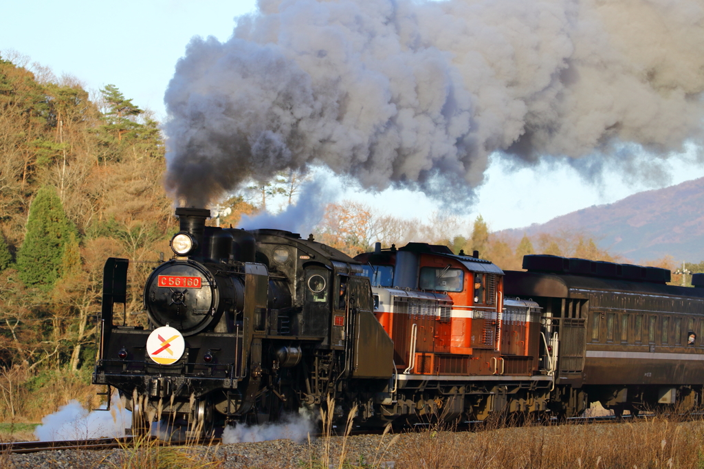 今日はC561!