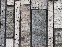 P8101329