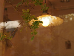 PB021618